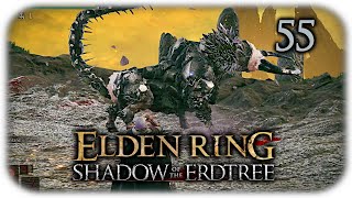 Ein Sternenfalltier ist auch wieder hier ⚔️ 55 Elden Ring Shadow of the Erdtree ⚔️ Lets Play [upl. by Htebasyle]