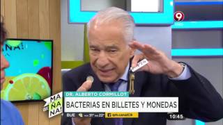 El daños de las bacterias que no miramos [upl. by Coats63]