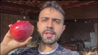 🌱 COMO PLANTAR MARACUJÁ ABACAXI E LARANJA DE UM JEITO FÁCIL  GUTIZGRILO [upl. by Bibby]