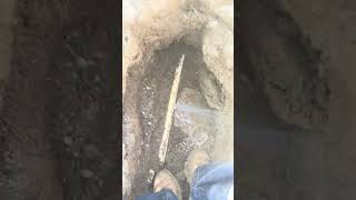 Burst water main waterleak likeandsubscribe plumbingservices plumber [upl. by Concha48]