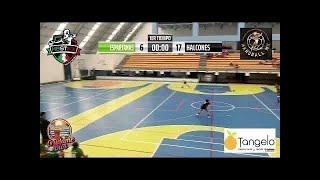 Torneo Internacional de Clubes  SEMIFINAL  Dorados CHIH vs Tigres UANL NL  1er tiempo [upl. by Attiuqaj766]