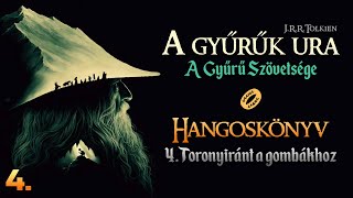 Hangoskönyv  A Gyűrűk Ura A Gyűrű Szövetsége  I4 fejezet [upl. by Yann745]