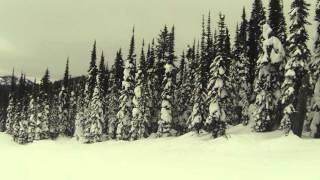 Skiing on Big Mountain Whitefish Montana Goat HauntFlower Point Chair 11 [upl. by Guyon]