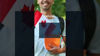 Cómo tramitar la visa canadiense  Dinero en Imagen [upl. by Rehptsirhc]