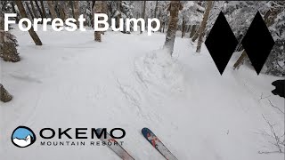 Skiing Forest Bump at Okemo Mountain Feb 2 2024 [upl. by Sedecrem149]