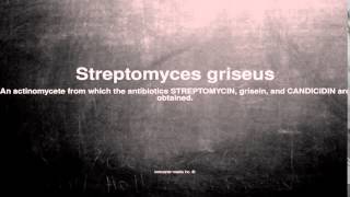 Medical vocabulary What does Streptomyces griseus mean [upl. by Brieta]