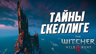 Ведьмак 3  10 Интересных Деталей Которые Легко Пропустить на Скеллиге  часть 1 [upl. by Nosrettap22]