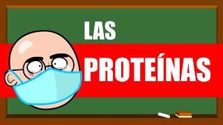 PROTEÍNAS Y AMINOÁCIDOS 💪💪💪 UN MES DE CLASES EN 5 MINUTOS [upl. by Gabriela]