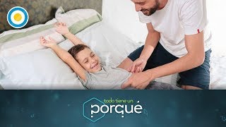 ¿Por qué nos reímos cuando nos hacen cosquillas 1 de 3  Todo tiene un porqué [upl. by Eramat168]