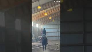 Salmas riding marky bareback🥹😍 horse equestrianvibes horseenthusiast equestrianjourney [upl. by Eleni]