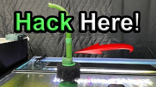 Easy Flow Sponge Filter Hack Stop Frequent Clogging [upl. by Kristo]