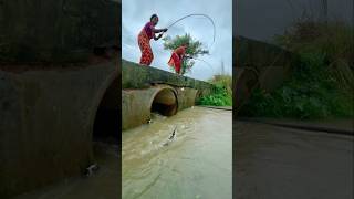 Two Lady Fishing In Rain In Canal In Beautiful Nature fishingmethods besthookfishing fishingtech [upl. by Nylirrehs]