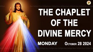 Chaplet of the Divine Mercy I Monday October 28 2024 I Divine Mercy Prayer I 1200 PM [upl. by Filide315]