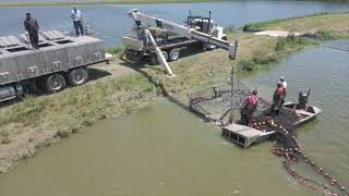 LEES CATFISH FARMING MISSISSIPPI [upl. by Ordisi]