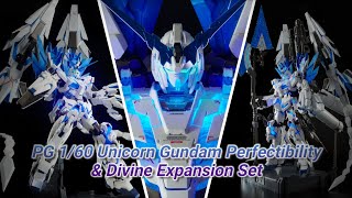 PG 160 Unicorn Gundam Perfectibility amp Divine Expansion Set [upl. by Essinger]