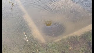 MASSIVE parking lot storm drain unclogging draining flooded parking lot with big whirlpool [upl. by Irik723]