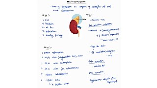 PHEOCHROMOCYTOMA NOTES ADRENAL GLAND  ONE PAGE NOTES  ENDOCRINE  MEDICINE  4TH PROFF  MBBS [upl. by Gereron]