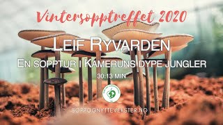 En sopptur i Kameruns dype jungler  Leif Ryvarden  2020 [upl. by Iborian]