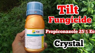 Propiconazole 25 Ec  Tilt Fungicide  Crystal Crop Protection [upl. by Acsisnarf]