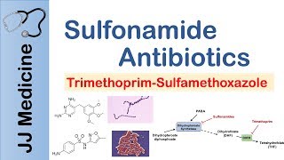 Sulfonamide Antibiotics  Bacterial Targets Mechanism of Action Adverse Effects [upl. by Behm]