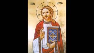 Father Antonious Tanios English Coptic Orthodox Liturgy [upl. by Idaline]