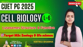 ✍️L6 Lysosome  Definition Function amp Structure Complete Lecture  MSc Zoology Course 2025 [upl. by Rachael167]