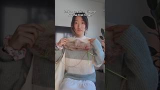 I knit a sweater for the first time knitting raglansweater [upl. by Fiedler]