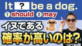 【may】実は間違いが多い助動詞mayの使い方をおさらい！●●かもしれないと表現する時の【確信度】を解説 [upl. by Htebesile654]