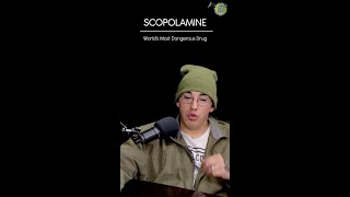 ⚕️The Worlds Most Dangerous Drug  Scopolamine [upl. by Amil908]