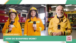 How do bushfires work [upl. by Kallista]