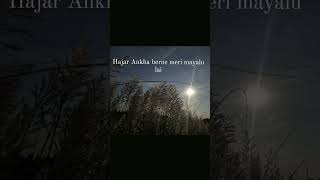 Hajar Ankha Herne Meri Mayalu Lai  By Anamika Chhetri [upl. by Ane]