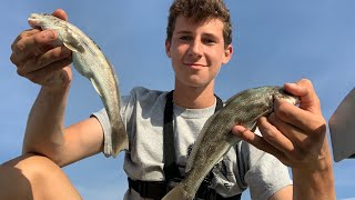 Brigantine Beach KINGFISHING late summer surf fishing [upl. by Anawk]