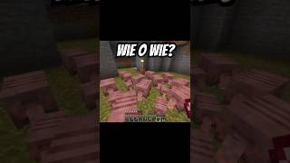 2 vrijwilligers minecraft wouterswereld [upl. by Aicileb]