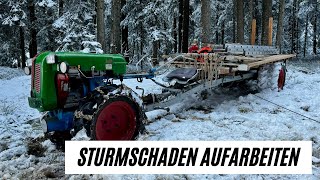 Sturmschaden aufarbeiten mit Rapid sspezial mit Jost Anbauseilwinde und Husqvarna Motorsäge [upl. by Hattie]