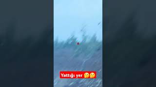 Enteresan bir yere yatmış 🤔🤔 harehunting tavşanavı [upl. by Komsa]