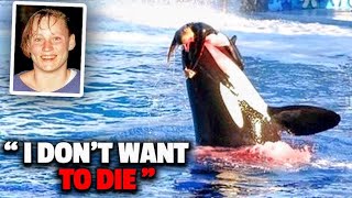 The Horrifying Last Moments of Seaworld Trainer Keltie Byrne [upl. by Elinor]