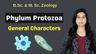 Phylum Protozoa  General Characters  B Sc  M Sc  Zoology [upl. by Lasley581]