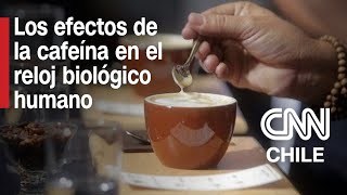 Cafeína La importancia de estudiar sus efectos  Entrevistas CNN [upl. by Ferdinande]