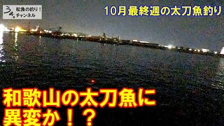 和歌山の太刀魚に異変か！？ＳＫのマズメでこれは・・10月最終週のタチウオ釣り。 [upl. by Saxon]