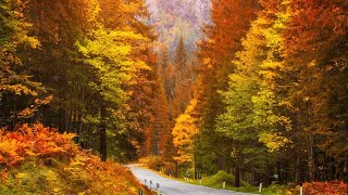 Beautiful Relaxing Music Peaceful Soothing Instrumental Music quotGolden Autumn Octoberquot By Tim Janis [upl. by Zaremski285]