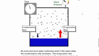 Vapor Pressure Equilibrium Vapor Pressure and Relative Humidity [upl. by Haskins173]