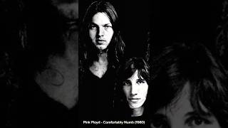 Pink Floyd  Comfortably Numb 1979 [upl. by Atalante269]