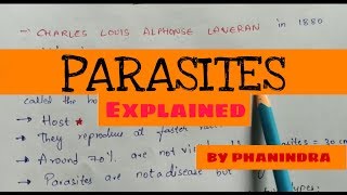 What are Parasites  Classification of parasites  Types of parasitic infections [upl. by Mauer564]