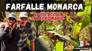 ‼️SANTUARIO delle FARFALLE MONARCA 🦋esperienza UNICA 4K🚐DallItalia al Messico con il nostro van [upl. by Aicelf]