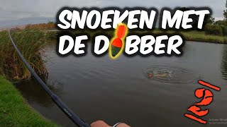 6 SNOEKVISSEN MET DE DOBBER2 [upl. by Nirmak]