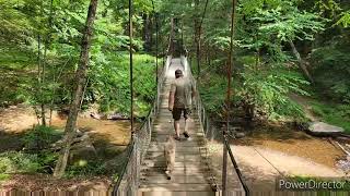 Pennsylvania Overlanding Beartown Rocks Clarion River and the Forest Cathedral of Cook Forest [upl. by Innavoij]