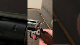 Heritage Mfg Barkeep 22lr — guns revolver gun [upl. by Ueihtam]