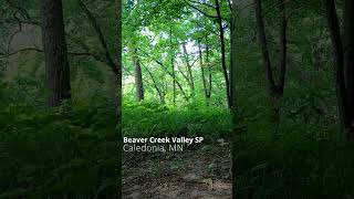 Beaver Creek Trails Edge [upl. by Atinahs]