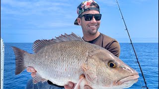 GIANT Mangrove Snapper  Catch And Cook  Best Recipe fishing in the ocean [upl. by Shenan]