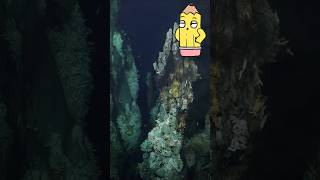 Penny Pencils Brain Boost ep8 hydrothermal Vents ocean education facts learning [upl. by Maressa]